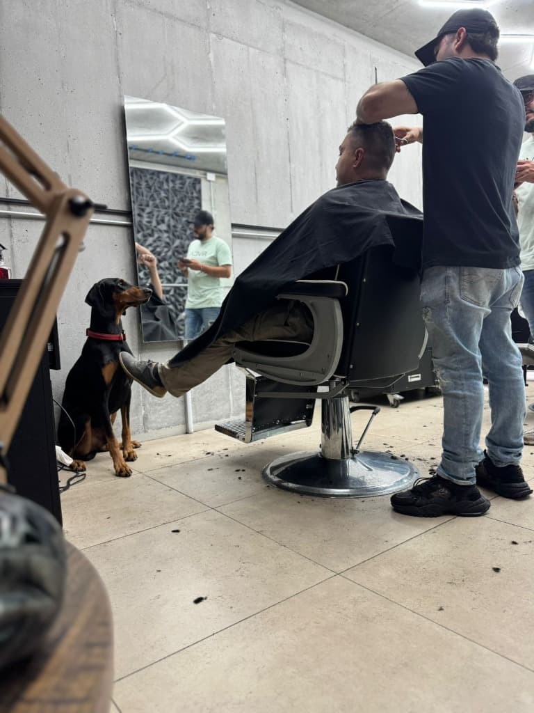 Clandestino Atmosphere 8